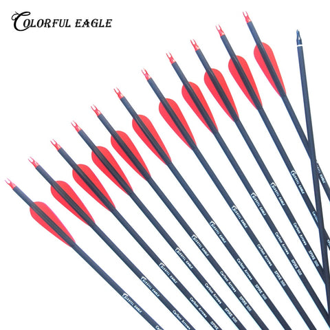 6/12/24/30pcs Carbon Arrow 28/30/31 Inches Length Spine 500 with Replaceable Arrowhead for Compound/Recurve Bow Archery Hunting