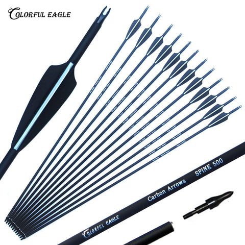 6/12/24/30pcs/lot Carbon Arrow 28/30/31 Inch Spine 500 with Replaceable Arrowhead for Compound/Recurve Bow Archery Hunting