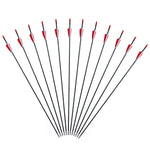 6/12PCS Fiberglass Arrows Spine 750 Length 31 Inch Diameter 6mm Shield-shaped Plastic Feather for Achery Recurve Bow Shooting