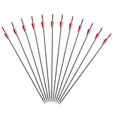 6/12PCS Fiberglass Arrows Spine 750 Length 31 Inch Diameter 6mm Shield-shaped Plastic Feather for Achery Recurve Bow Shooting