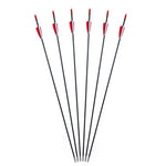 6/12PCS Fiberglass Arrows Spine 750 Length 31 Inch Diameter 6mm Shield-shaped Plastic Feather for Achery Recurve Bow Shooting