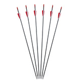 6/12PCS Fiberglass Arrows Spine 750 Length 31 Inch Diameter 6mm Shield-shaped Plastic Feather for Achery Recurve Bow Shooting